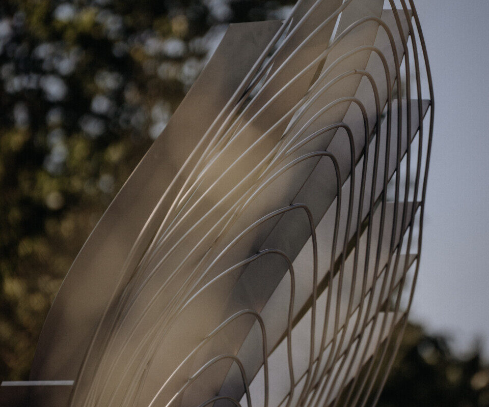 11-DSC00651